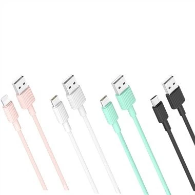 Câble USB PVC 2.4A 1 Mètre Fpr Micro Type C et Lightning